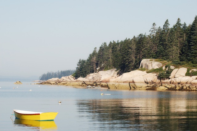 [DSC_0864 copy 2[4].jpg]